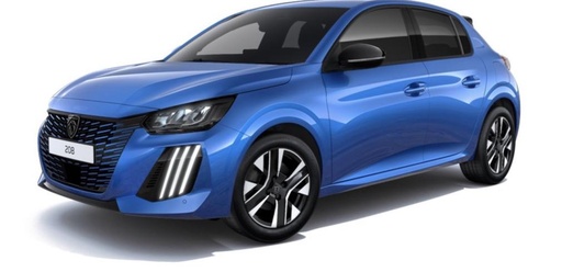 SIEGES OU MOQUETTE,TAPIS (PETITE VOITURE)